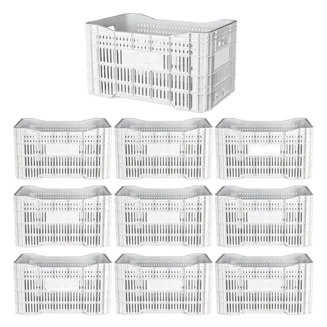 Caixa Plástica Gruplast Horti Frutti Branca 20kg 50L 10UN - Bin Embalagens