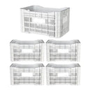 Caixa Plástica Gruplast Horti Frutti Branca 20kg 50L 5UN - Bin Embalagens