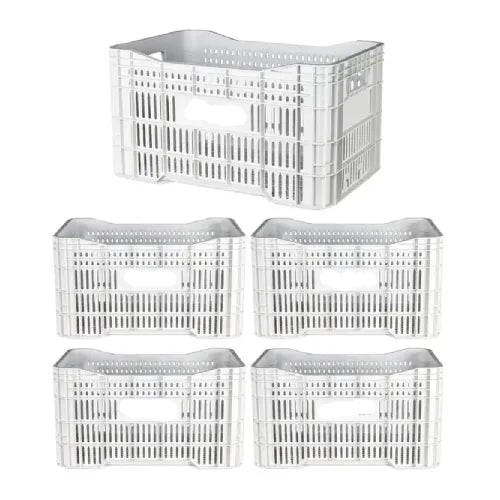 Caixa Plástica Gruplast Horti Frutti Branca 20kg 50L 5UN - Bin Embalagens